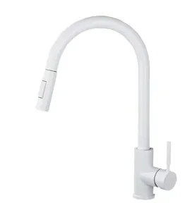 ברז מטבח מגיע עם פיה מסתובבת ונשלפת צבע לבן דגם 8882658