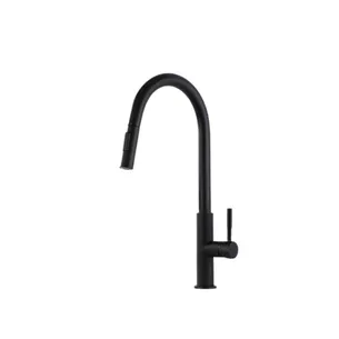 ברז מטבח מגיע עם פיה מסתובבת ונשלפת צבע שחור מט דגם 8882657