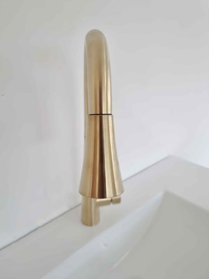 ברז מטבח מגיע עם פיה מסתובבת ונשלפת צבע זהב מט דגם 8282664