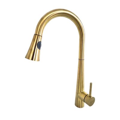 ברז מטבח מגיע עם פיה מסתובבת ונשלפת צבע זהב מט דגם 8282664