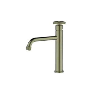 ברז רחצה עם פיה קבועה צבע זהב מט דגם SH0701BR